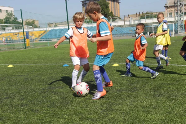 Odessa, Ukrayna - 7 Eylül 2019: Antrenmanda küçük çocuklar futbol oynuyor. Genç çocuklar oyun alanında futbol uyguluyorlar. Çocuklar yeşil futsal sahada futbol oynuyor