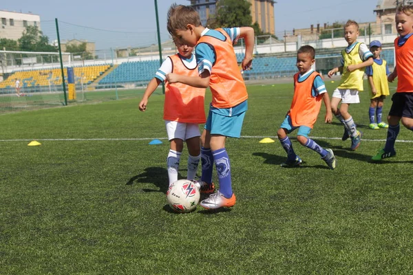 Odessa, Ukrayna - 7 Eylül 2019: Antrenmanda küçük çocuklar futbol oynuyor. Genç çocuklar oyun alanında futbol uyguluyorlar. Çocuklar yeşil futsal sahada futbol oynuyor
