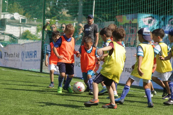 Odessa, Ukrayna - 7 Eylül 2019: Antrenmanda küçük çocuklar futbol oynuyor. Genç çocuklar oyun alanında futbol uyguluyorlar. Çocuklar yeşil futsal sahada futbol oynuyor