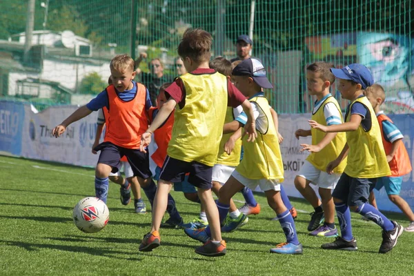 Odessa, Ukrayna - 7 Eylül 2019: Antrenmanda küçük çocuklar futbol oynuyor. Genç çocuklar oyun alanında futbol uyguluyorlar. Çocuklar yeşil futsal sahada futbol oynuyor