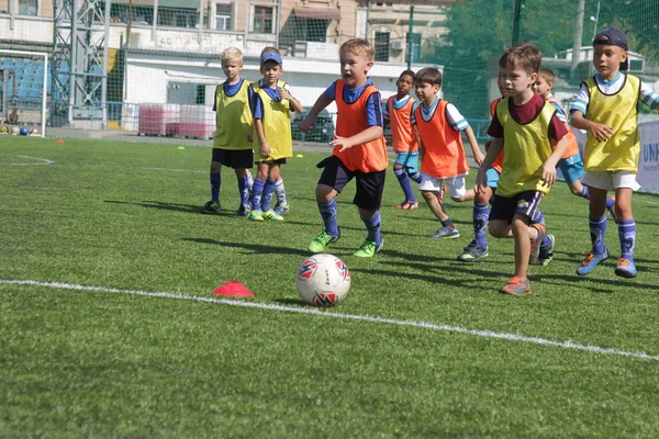 Odessa, Ukrayna - 7 Eylül 2019: Antrenmanda küçük çocuklar futbol oynuyor. Genç çocuklar oyun alanında futbol uyguluyorlar. Çocuklar yeşil futsal sahada futbol oynuyor
