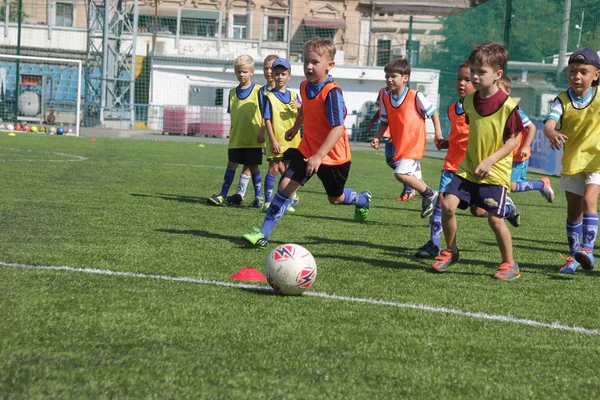Odessa, Ukrayna - 7 Eylül 2019: Antrenmanda küçük çocuklar futbol oynuyor. Genç çocuklar oyun alanında futbol uyguluyorlar. Çocuklar yeşil futsal sahada futbol oynuyor