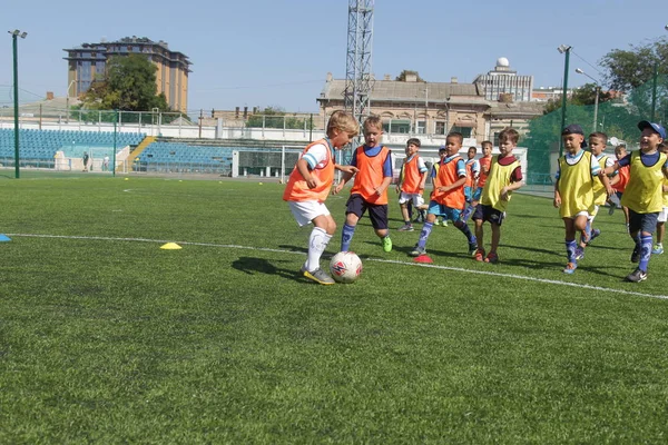 Odessa, Ukrayna - 7 Eylül 2019: Antrenmanda küçük çocuklar futbol oynuyor. Genç çocuklar oyun alanında futbol uyguluyorlar. Çocuklar yeşil futsal sahada futbol oynuyor