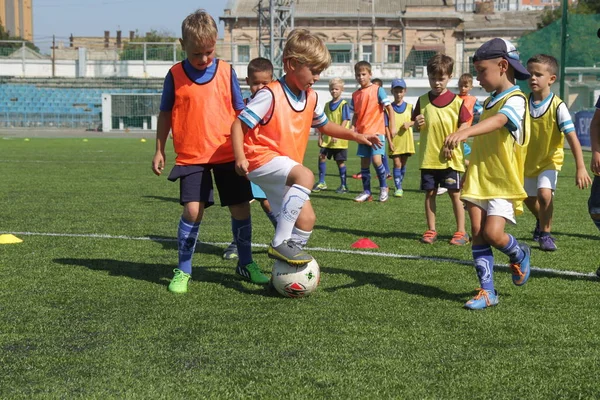 Odessa, Ukrayna - 7 Eylül 2019: Antrenmanda küçük çocuklar futbol oynuyor. Genç çocuklar oyun alanında futbol uyguluyorlar. Çocuklar yeşil futsal sahada futbol oynuyor