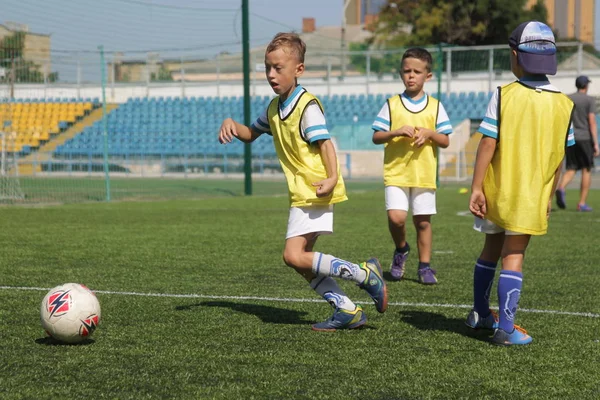 Odessa, Ukrayna - 7 Eylül 2019: Antrenmanda küçük çocuklar futbol oynuyor. Genç çocuklar oyun alanında futbol uyguluyorlar. Çocuklar yeşil futsal sahada futbol oynuyor