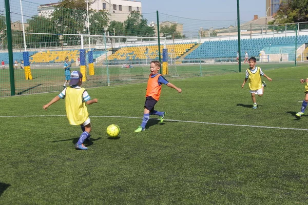 Odessa, Ukrayna - 7 Eylül 2019: Antrenmanda küçük çocuklar futbol oynuyor. Genç çocuklar oyun alanında futbol uyguluyorlar. Çocuklar yeşil futsal sahada futbol oynuyor