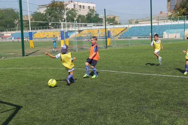Odessa, Ukrayna - 7 Eylül 2019: Antrenmanda küçük çocuklar futbol oynuyor. Genç çocuklar oyun alanında futbol uyguluyorlar. Çocuklar yeşil futsal sahada futbol oynuyor