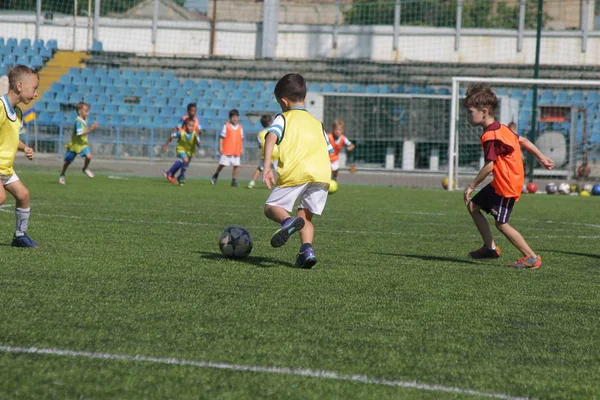 Odessa, Ukrayna - 7 Eylül 2019: Antrenmanda küçük çocuklar futbol oynuyor. Genç çocuklar oyun alanında futbol uyguluyorlar. Çocuklar yeşil futsal sahada futbol oynuyor
