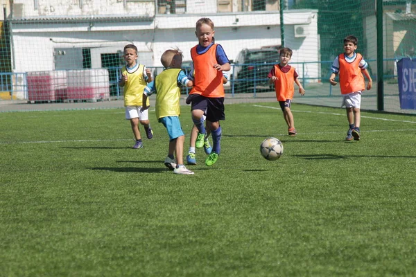 Odessa, Ukrayna - 7 Eylül 2019: Antrenmanda küçük çocuklar futbol oynuyor. Genç çocuklar oyun alanında futbol uyguluyorlar. Çocuklar yeşil futsal sahada futbol oynuyor