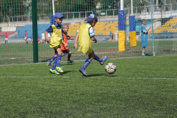 Odessa, Ukrayna - 7 Eylül 2019: Antrenmanda küçük çocuklar futbol oynuyor. Genç çocuklar oyun alanında futbol uyguluyorlar. Çocuklar yeşil futsal sahada futbol oynuyor