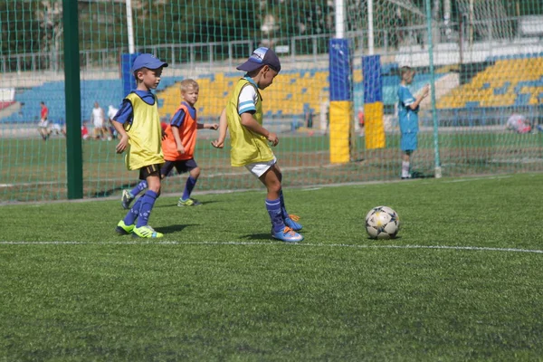 Odessa, Ukrayna - 7 Eylül 2019: Antrenmanda küçük çocuklar futbol oynuyor. Genç çocuklar oyun alanında futbol uyguluyorlar. Çocuklar yeşil futsal sahada futbol oynuyor