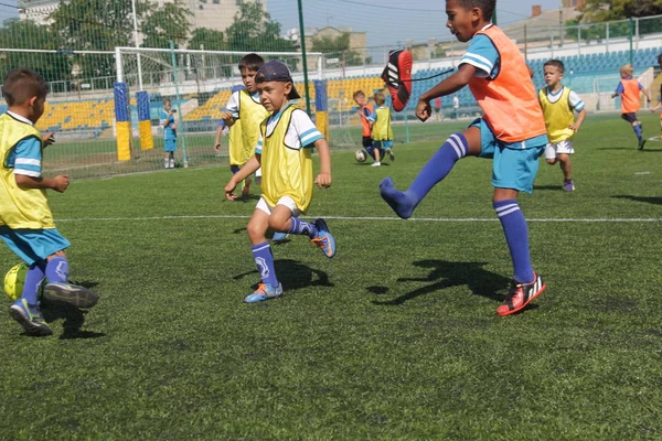 Odessa, Ukrayna - 7 Eylül 2019: Antrenmanda küçük çocuklar futbol oynuyor. Genç çocuklar oyun alanında futbol uyguluyorlar. Çocuklar yeşil futsal sahada futbol oynuyor