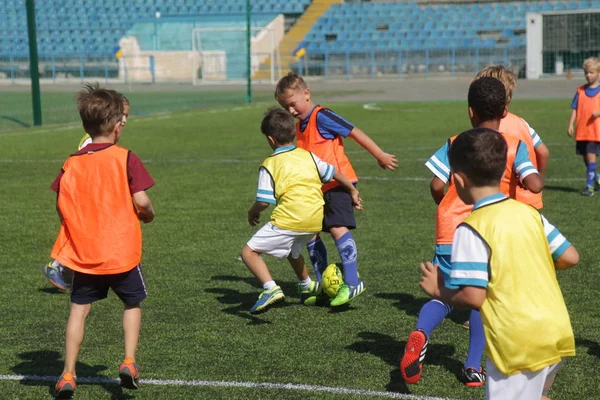 Odessa, Ukrayna - 7 Eylül 2019: Antrenmanda küçük çocuklar futbol oynuyor. Genç çocuklar oyun alanında futbol uyguluyorlar. Çocuklar yeşil futsal sahada futbol oynuyor