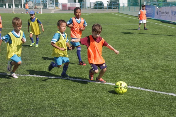Odessa, Ukrayna - 7 Eylül 2019: Antrenmanda küçük çocuklar futbol oynuyor. Genç çocuklar oyun alanında futbol uyguluyorlar. Çocuklar yeşil futsal sahada futbol oynuyor