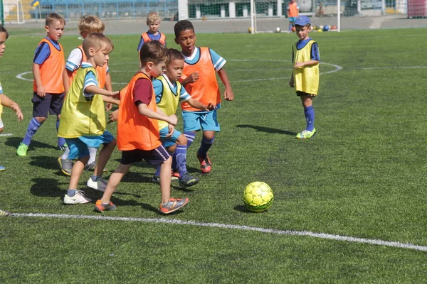Odessa, Ukrayna - 7 Eylül 2019: Antrenmanda küçük çocuklar futbol oynuyor. Genç çocuklar oyun alanında futbol uyguluyorlar. Çocuklar yeşil futsal sahada futbol oynuyor