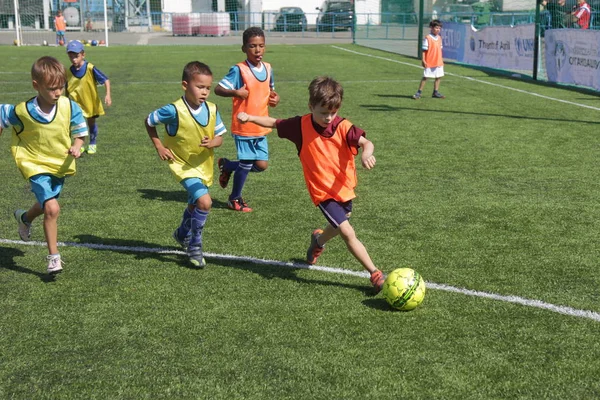 Odessa, Ukrayna - 7 Eylül 2019: Antrenmanda küçük çocuklar futbol oynuyor. Genç çocuklar oyun alanında futbol uyguluyorlar. Çocuklar yeşil futsal sahada futbol oynuyor