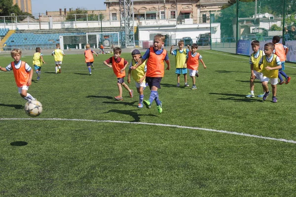 Odessa, Ukrayna - 7 Eylül 2019: Antrenmanda küçük çocuklar futbol oynuyor. Genç çocuklar oyun alanında futbol uyguluyorlar. Çocuklar yeşil futsal sahada futbol oynuyor