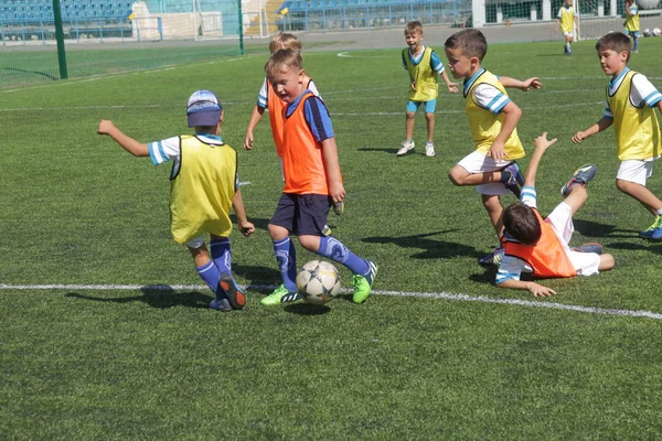 Odessa, Ukrayna - 7 Eylül 2019: Antrenmanda küçük çocuklar futbol oynuyor. Genç çocuklar oyun alanında futbol uyguluyorlar. Çocuklar yeşil futsal sahada futbol oynuyor