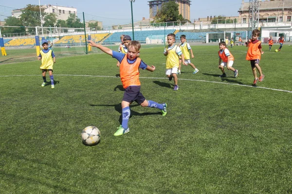 Odessa, Ukrayna - 7 Eylül 2019: Antrenmanda küçük çocuklar futbol oynuyor. Genç çocuklar oyun alanında futbol uyguluyorlar. Çocuklar yeşil futsal sahada futbol oynuyor