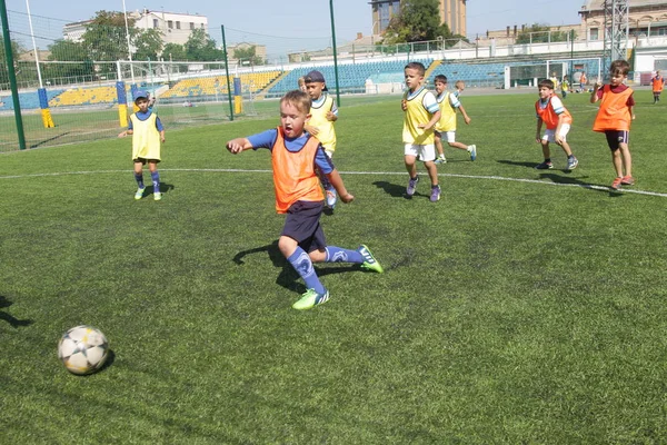Odessa, Ukrayna - 7 Eylül 2019: Antrenmanda küçük çocuklar futbol oynuyor. Genç çocuklar oyun alanında futbol uyguluyorlar. Çocuklar yeşil futsal sahada futbol oynuyor