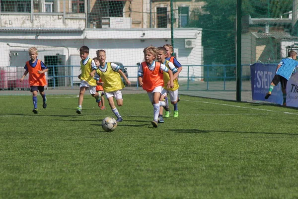 Odessa, Ukrayna - 7 Eylül 2019: Antrenmanda küçük çocuklar futbol oynuyor. Genç çocuklar oyun alanında futbol uyguluyorlar. Çocuklar yeşil futsal sahada futbol oynuyor