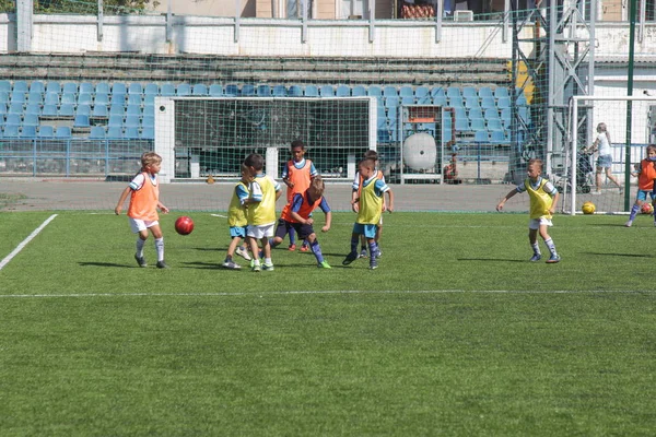 Odessa, Ukrayna - 7 Eylül 2019: Antrenmanda küçük çocuklar futbol oynuyor. Genç çocuklar oyun alanında futbol uyguluyorlar. Çocuklar yeşil futsal sahada futbol oynuyor