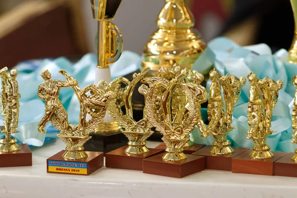 Odessa Ukraine Circa 2019 Sports Cups Medals Winners Karate Tournament — Stock Photo, Image