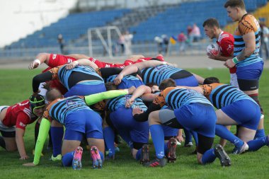 Odessa, Ukrayna - 29 Eylül 2019: Odessa ragbi takımı - Kiev Politeknik. Rugby oyuncularının top için yoğun mücadelesi. Stadyumun yeşil sahasında dinamik bir oyun. Vahşi Rugby Dövüşü