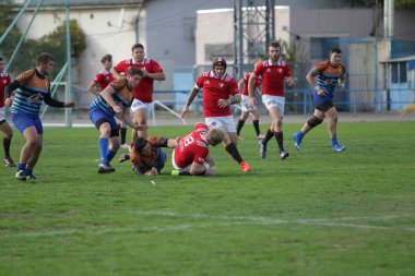 Odessa, Ukrayna - 29 Eylül 2019: Odessa ragbi takımı - Kiev Politeknik. Rugby oyuncularının top için yoğun mücadelesi. Stadyumun yeşil sahasında dinamik bir oyun. Vahşi Rugby Dövüşü