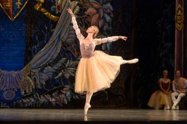 Odessa, Ukrayna-July22, 2019: bale. Odessa Opera Tiyatrosu sahnede klasik bale. Sahne dansı 'nda bale dansçıları Swan Lake 'in klasik eserleri. Tiyatro sahnesinde sanatsal top dansı formu