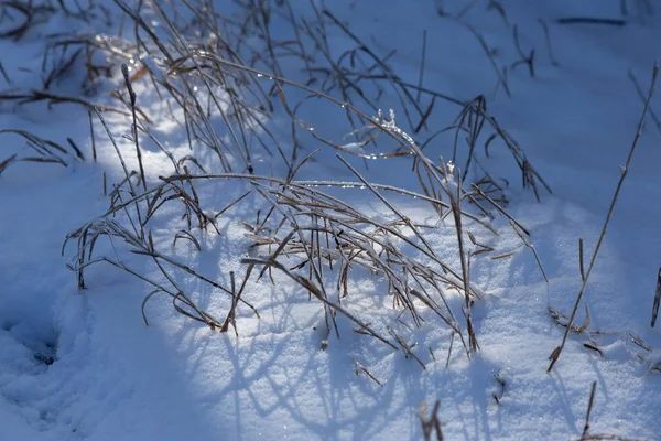 Wald Winter Wunderschöne Winterwaldlandschaft Mit Schnee Und Vereisung Schnee Einem — Stockfoto