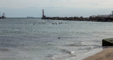 Kazıcılı deniz pelerini. Kargo gemileri için derinleşen deniz gezisi. Deniz manzaralı bir vinç ve temizleme ve derinleştirme için sürükleyici.