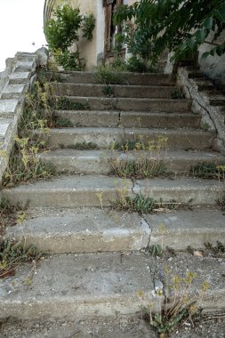 Yıkılmış taş korkuluklarla kaplanmış eski taş merdivenlerin antika basamakları. Merdivenleri mahvettim. Harap olmuş bina, merdivenlerin yıkılmış taş basamakları. Antik taş merdiven