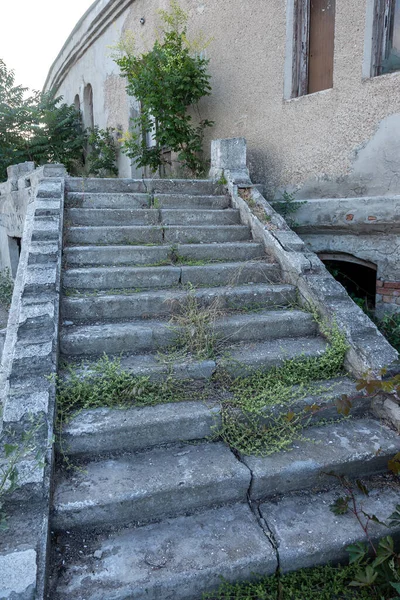 Old Overgrown Destroyed Stone Balustrades Old Antique Steps Stone Staircase — Stock Photo, Image
