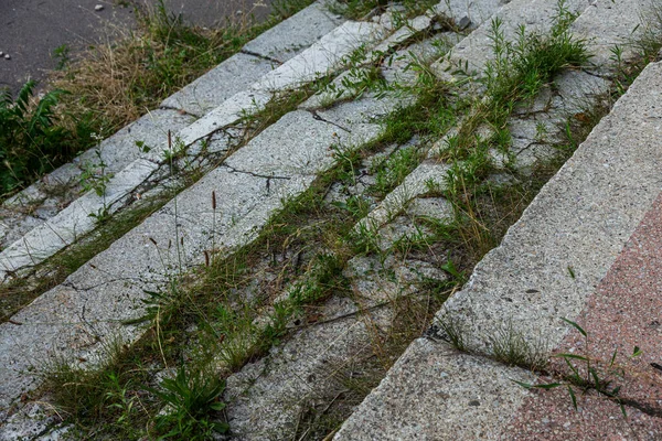 Old Overgrown Destroyed Stone Balustrades Old Antique Steps Stone Staircase — Stock Photo, Image