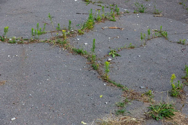 Muy Mal Camino Pavimentado Grietas Pavimento Baches Muy Mal Estado —  Fotos de Stock