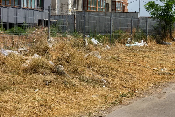 Εγκαταλελειμμένα Σκουπίδια Μολύνουν Φύση Έννοια Του Περιβαλλοντικού Προβλήματος Της Ρύπανσης — Φωτογραφία Αρχείου