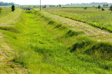 Ekolojik sorunlar, küresel ısınma. Kuraklık. Susuz kuru sulama kanalı. Felaket, susuz ürün kaybı. Tarım sektöründe çevre felaketi