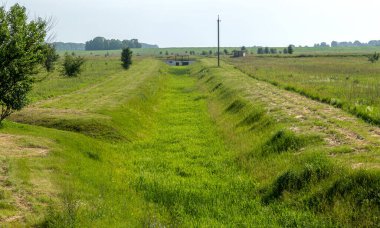 Ekolojik sorunlar, küresel ısınma. Kuraklık. Susuz kuru sulama kanalı. Felaket, susuz ürün kaybı. Tarım sektöründe çevre felaketi