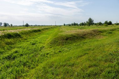 Ekolojik sorunlar, küresel ısınma. Kuraklık. Susuz kuru sulama kanalı. Felaket, susuz ürün kaybı. Tarım sektöründe çevre felaketi