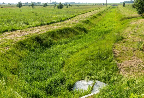 生態系の問題地球温暖化 干物だ 水のない乾燥灌漑運河 災害水のない作物の損失 農業における環境災害 — ストック写真