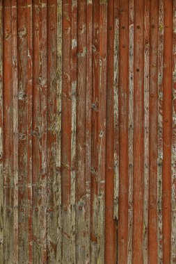 Eski boyalı ahşabın soyut arkaplanı. Ahşap yüzey üzerinde eski kırık boya izleri olan tahta çitler.