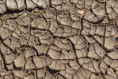 Çölün kuru derin çatlakları. Gezegende su kıtlığı var. Küresel ısınma ve sera etkisi kavramı. Kuraklık dünyanın iklim değişikliğini bozdu