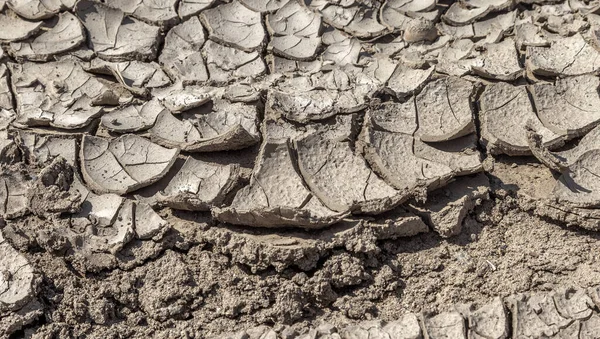 Dry deep cracks of the desert. World water scarcity on the planet. Global warming and greenhouse effect concept. Drought cracked earth climate change