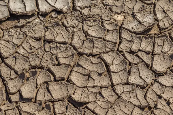 Rachaduras Secas Profundas Deserto Escassez Mundial Água Planeta Conceito Aquecimento — Fotografia de Stock