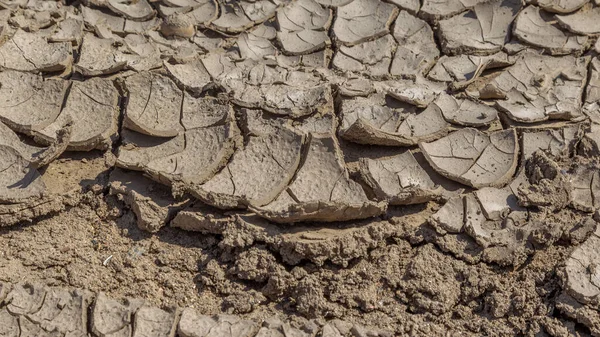 Sec Fissures Profondes Désert Pénurie Mondiale Eau Sur Planète Concept — Photo