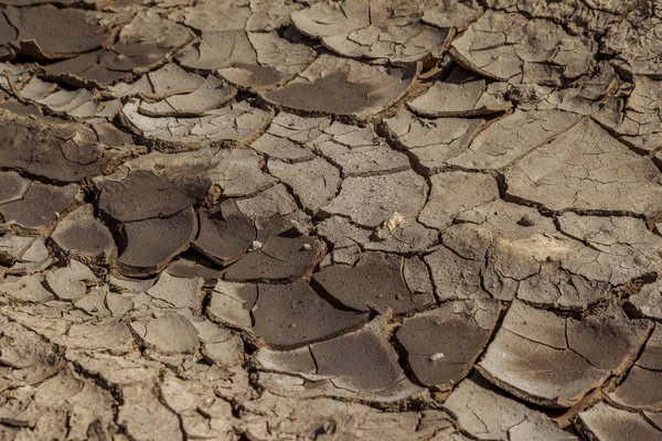 Dry deep cracks of the desert. World water scarcity on the planet. Global warming and greenhouse effect concept. Drought cracked earth climate change