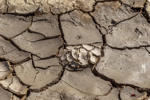 Sec Fissures Profondes Désert Pénurie Mondiale Eau Sur Planète Concept — Photo