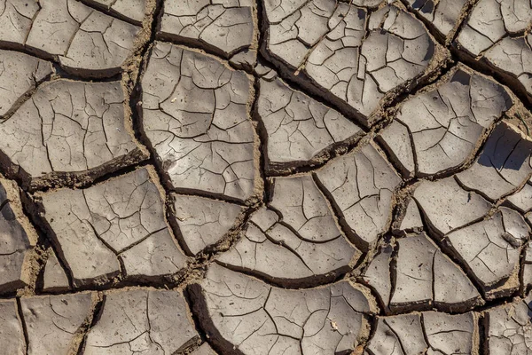 Сухие Глубокие Трещины Пустыни Мировая Нехватка Воды Планете Глобальное Потепление — стоковое фото