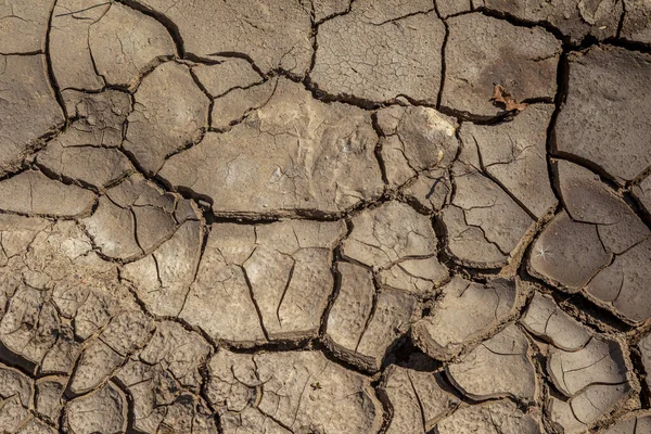 沙漠深处干枯的裂缝 世界上缺水的星球 全球暖化和温室效应概念 干旱造成的地球气候变化 — 图库照片